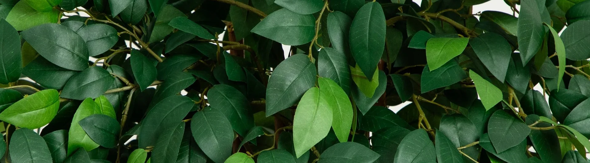 Close-up of artificial flowers and foliage