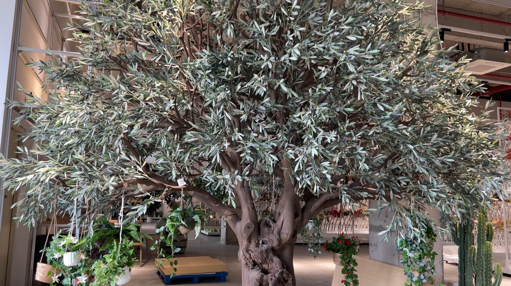 Interior designers reviewing a showroom tree